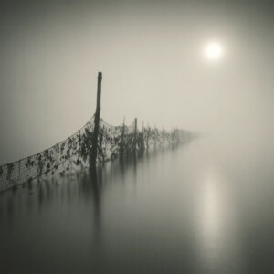 Fishing Weir Study XI, Silver Gelatin Photograph, 14 x 14