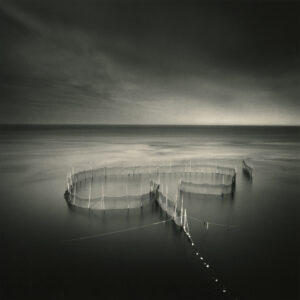 Fishing Weir Study XVII, Silver Gelatin Photograph, 14 x 14