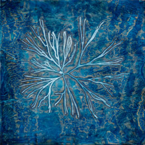 Green Fingers II, Cyanotype on Watercolor Paper, each 26 X 26