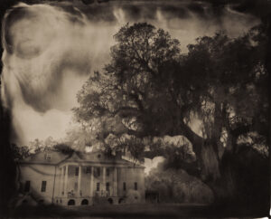 Hampton Plantation, South Carolina, Tintype, 4 x 5