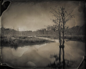 Irrigation Canals, Arundel Plantation, SC, Tintype 8 x 10