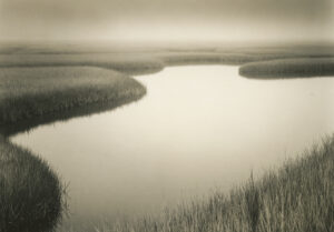 Marsh Study I, Silver Gelatin Photograph