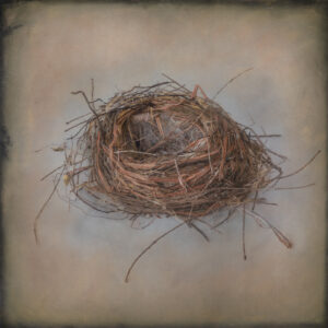 Nest II
