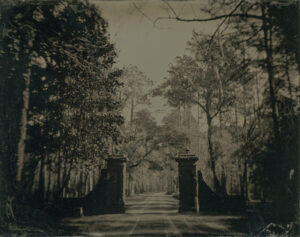 Plantation Gates, Mansfield Plantation, SC, Tintype 4 x 5