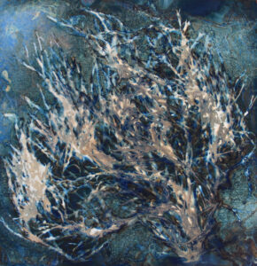 Rockweed, Cyanotype on Watercolor Paper, 26 X 26