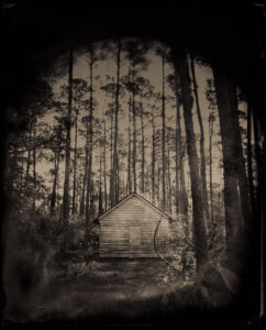 Slave Cabin, Bellefield Plantation, SC, Tintype 8 x 10