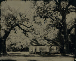 Slave Cabin III, Mansfield Plantation, SC, Tintype 8 x 10