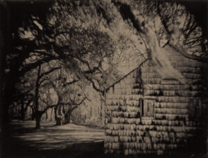 Slave Cabin, Mansfield Plantation, SC, Tintype 8 x 10