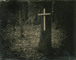 Slave Cemetery, Drayton Hall, SC, Tintype 8 x 10