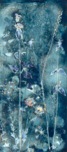 Summer Garden I, Cyanotype on Watercolor Paper, 50 X 24