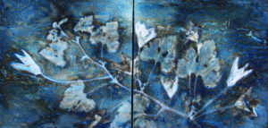 Summer Squash, Cyanotype Diptych on Watercolor Paper, 22 x 36