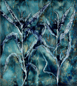 Sweet Corn Diptych, Cyanotype on Watercolor Paper, 50 X 48