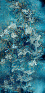 Sweet Peas I, Cyanotype on Watercolor Paper, 50 X 24