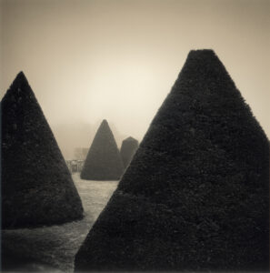 Topiary Study I, Longwood Gardens, Silver Gelatin Photograph, 14 x 14