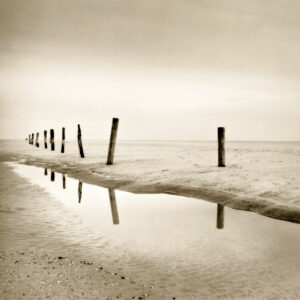 Twelve Poles, Silver Gelatin Photograph, 14 x 14
